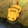 Pokemon 7