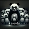 🧿Pandix Pandas🐼🐼 13