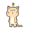 LINDOS GATITOS . Mov 9