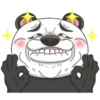 Panda louco 6