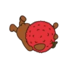 Lychee and friends 7