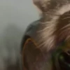 Rocket Raccoon 6