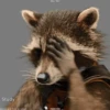 Rocket Raccoon 8