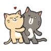 LINDOS GATITOS . Mov 11