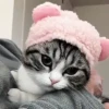 Mix animales 9 12