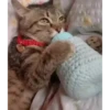 Mix animales 5 10