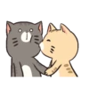 LINDOS GATITOS . Mov 12