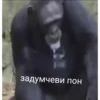обезьRни пон :: @fStikBot 18