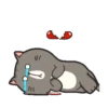 LINDOS GATITOS . Mov 14