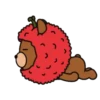 Lychee and friends 13
