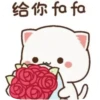 PEACH GOMA 21