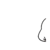 Crow-tit Baebi 8 14