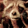 Rocket Raccoon 13