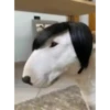 Mix animales 7 15