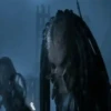 PREDATOR VS ALIEN MOV 2 19