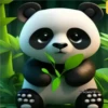 🧿Pandix Pandas🐼🐼 23