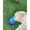 Mix animales 7 16