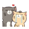 LINDOS GATITOS . Mov 19