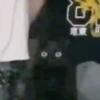 Mix animales 6 21