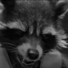 Rocket Raccoon 19