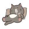 LINDOS GATITOS . Mov 21