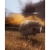 Mix animales 10 22