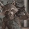 Rocket Raccoon 21