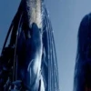 PREDATOR VS ALIEN MOV 2 25