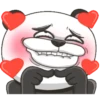 Panda louco 21