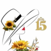Feliz Quinceañero💞1🇵🇪Movi 25