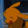 Pokemon 27