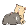 LINDOS GATITOS . Mov 27