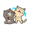 LINDOS GATITOS . Mov 28