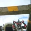 maximals (transf.2023) 29