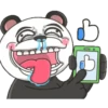 Panda louco 23
