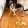 Mix animales 7 25