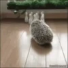 Mix animales 8 27