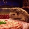 Mix animales 3 9