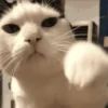 Mix animales 4 8