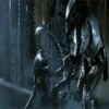 PREDATOR VS ALIEN MOV 1 11