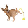 Mascotas🐩2🇲🇽Movi 5