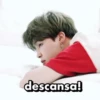 BTS stickers3 13