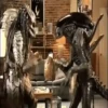 PREDATOR VS ALIEN MOV 1 14