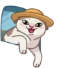 Gatos anime 1🐱 MOV. 🇲🇽 6