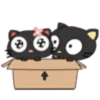 🖤Small black cat🖤.mov 8