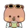 panditas 6