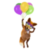 Mascotas🐩2🇲🇽Movi 7