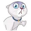 Gatos anime 1🐱 MOV. 🇲🇽 8