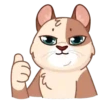 Gatos anime 1🐱 MOV. 🇲🇽 9