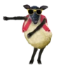 Mascotas🐩1🇲🇽Movi 11